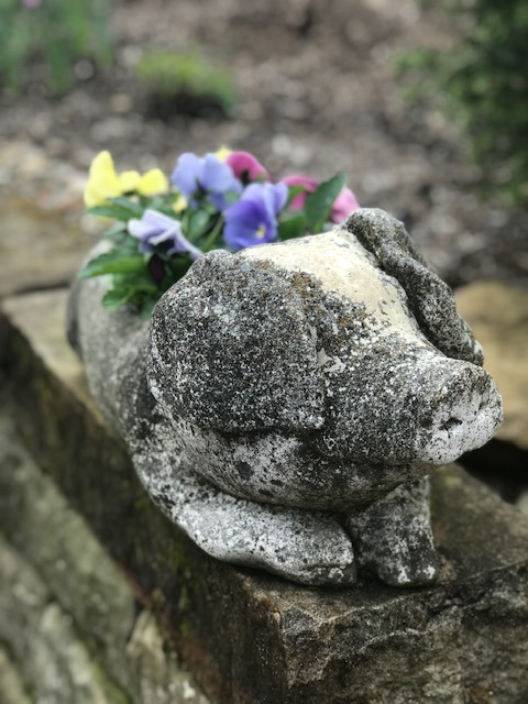 Stone pig statue planter with colorful flowers