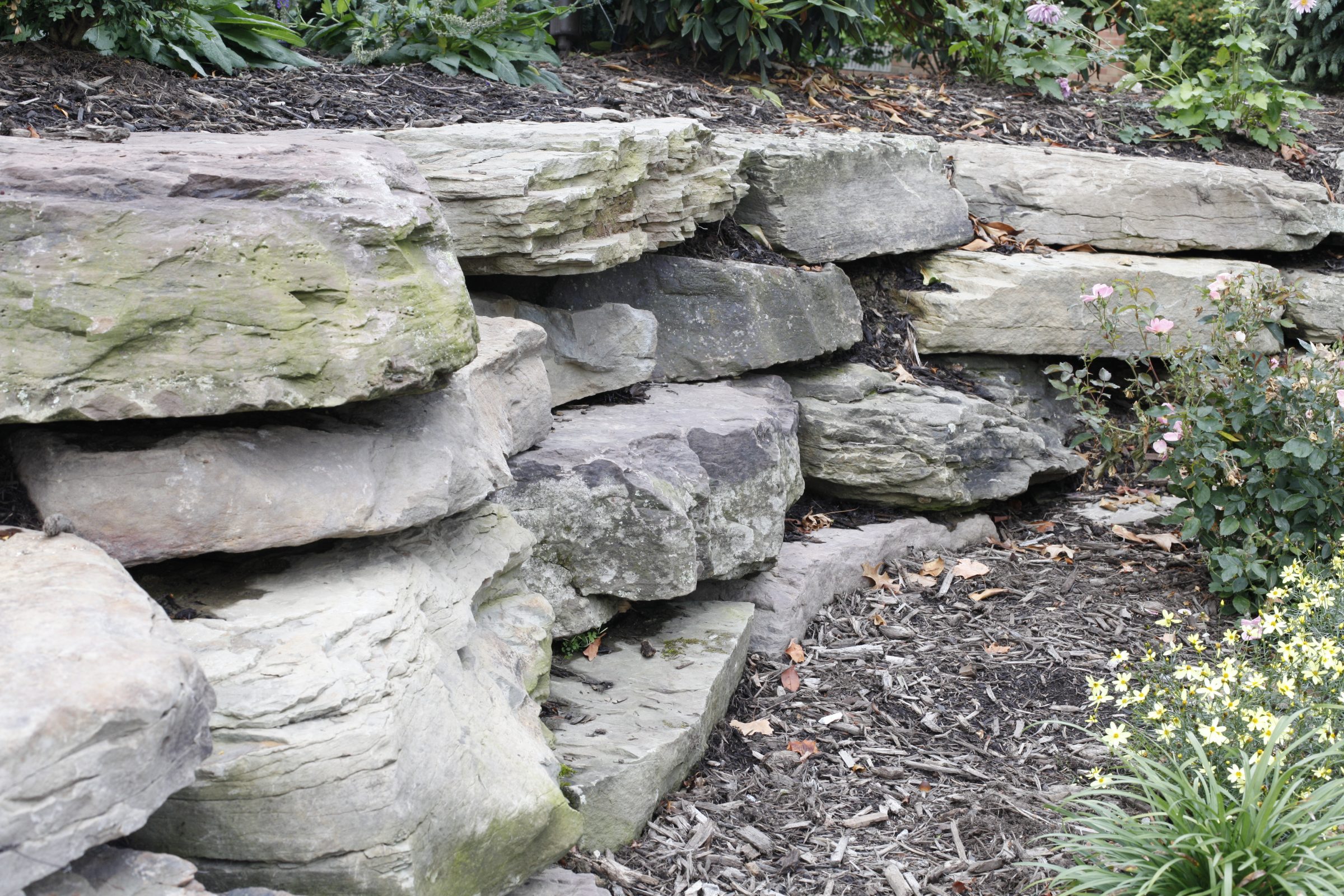 Stone garden wall with flowers and mulch