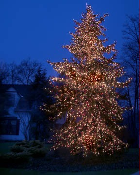 Christmas tree with colorful lights at night
