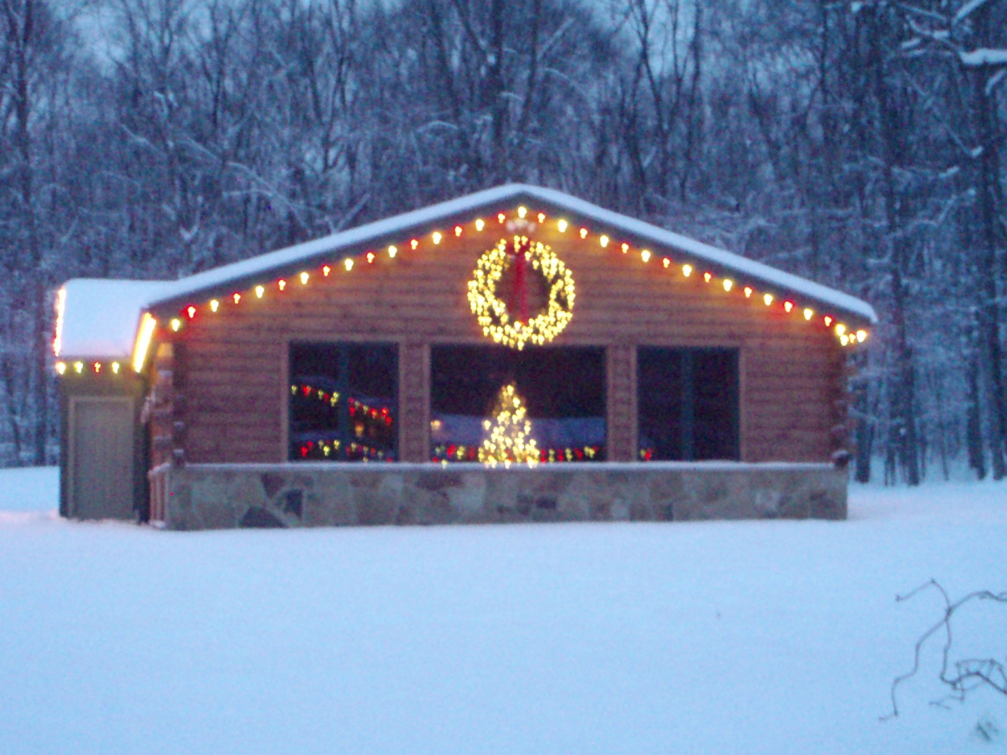 Cabin decorated with Christmas lights in snowy forest.