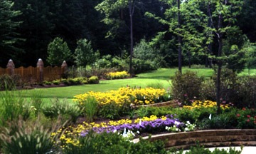 Lush garden with colorful flowers and green lawn