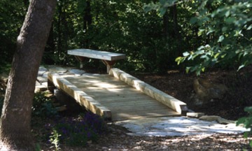 Wooden bridge and bench in forest setting.