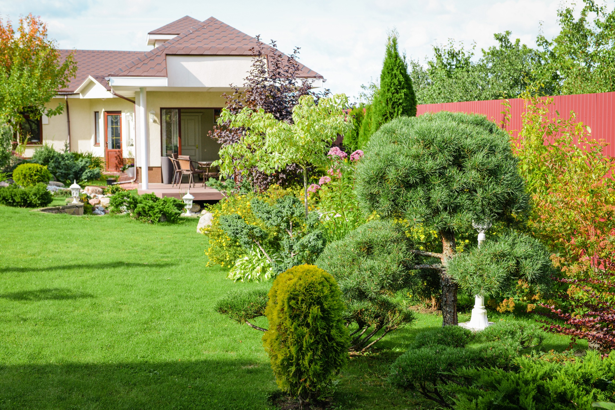 Beautiful garden with lush greenery and patio view.