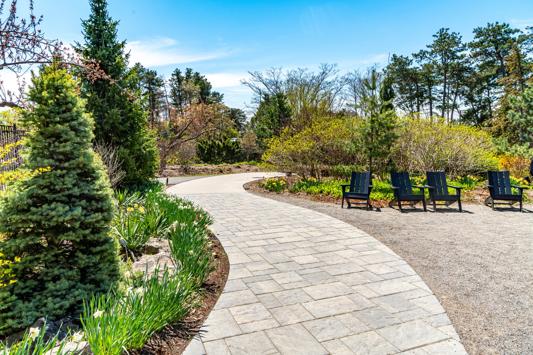 Pathway through garden with empty chairs under trees.