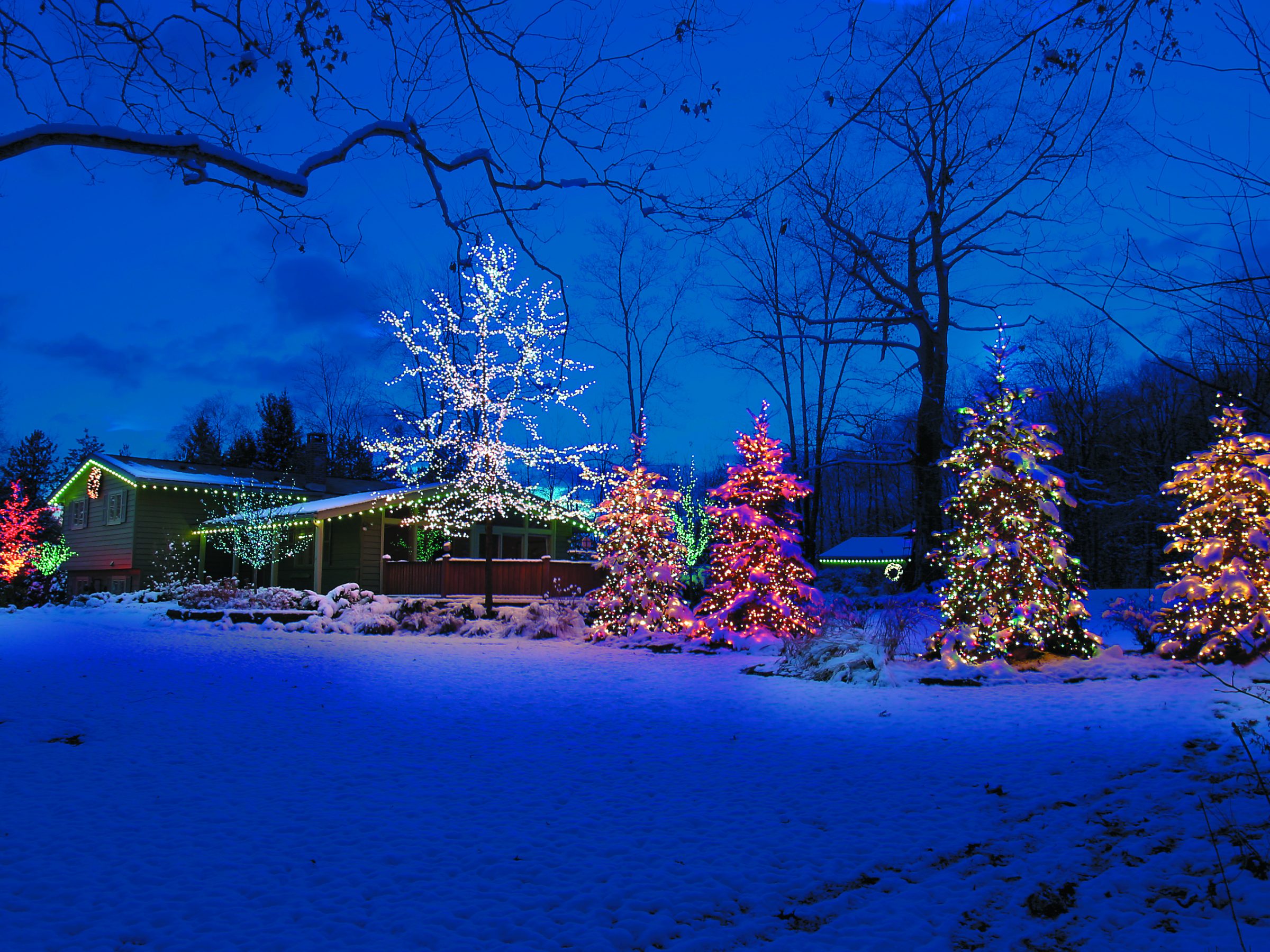 House and trees with colorful Christmas lights in snow.