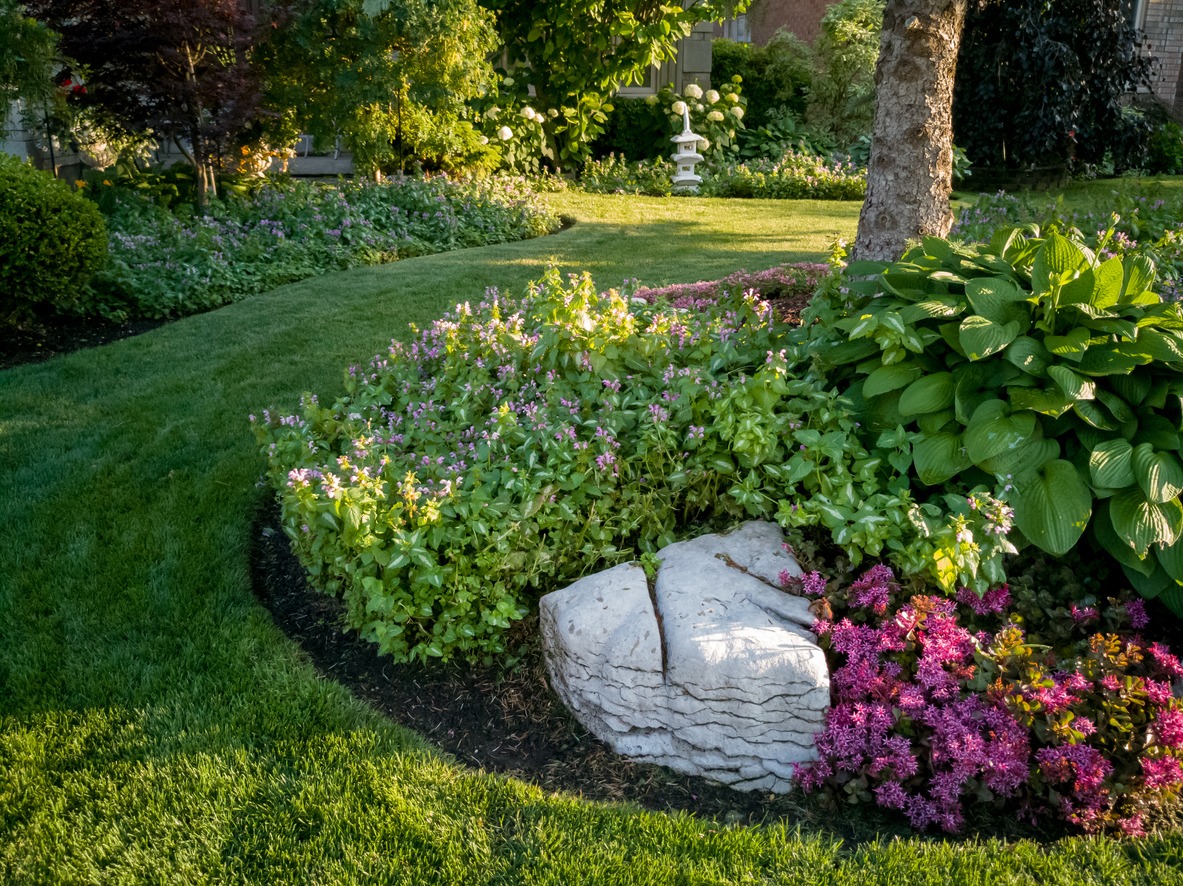 Lush garden with flowers, rocks, and greenery.