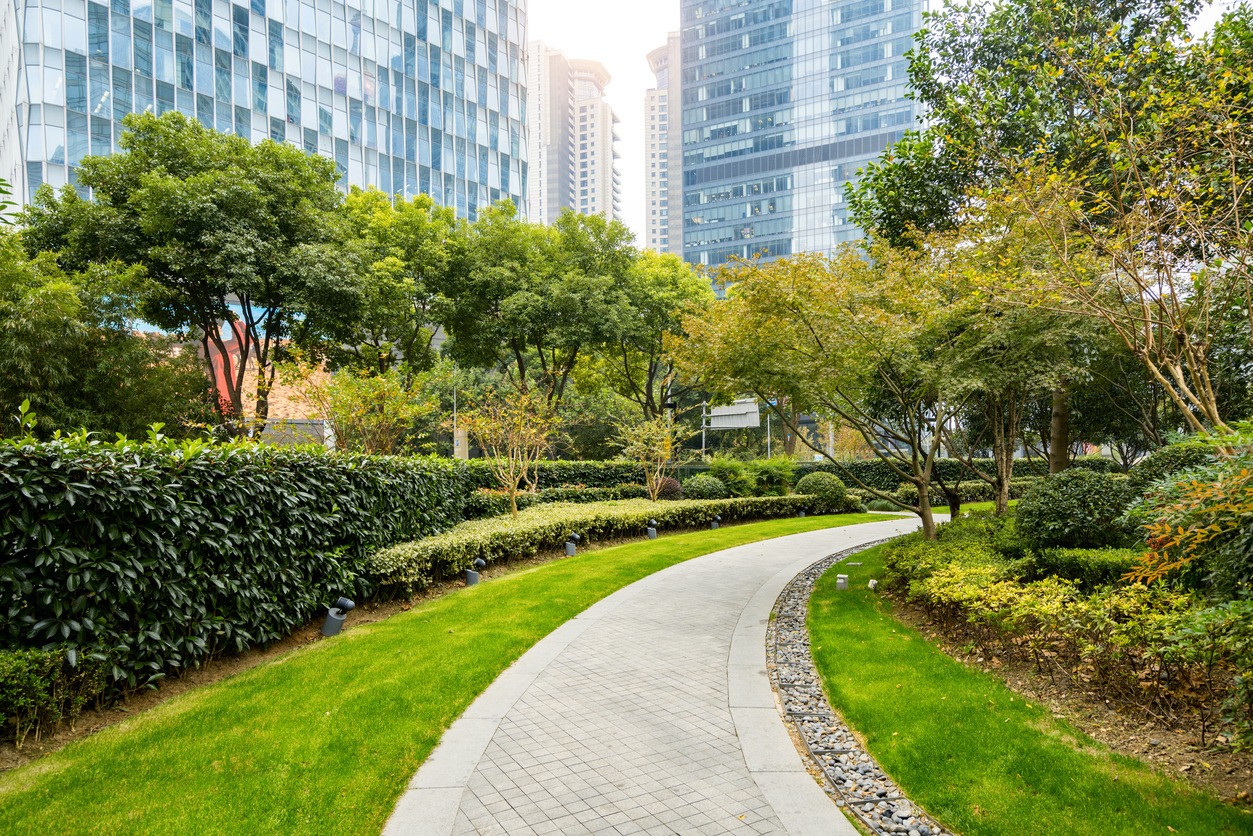 Urban park path with skyscrapers in background.