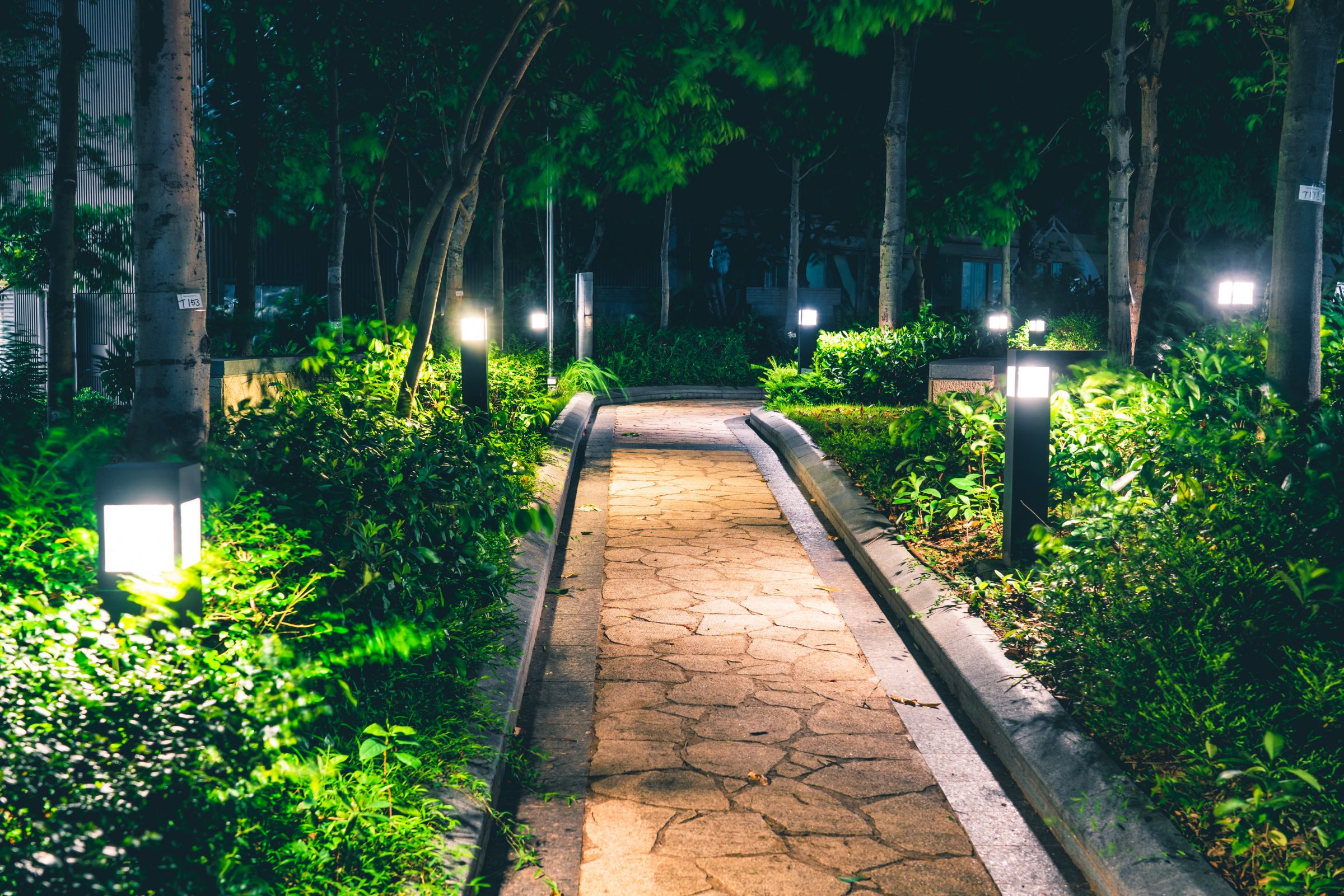 Illuminated garden path at night with lush greenery.