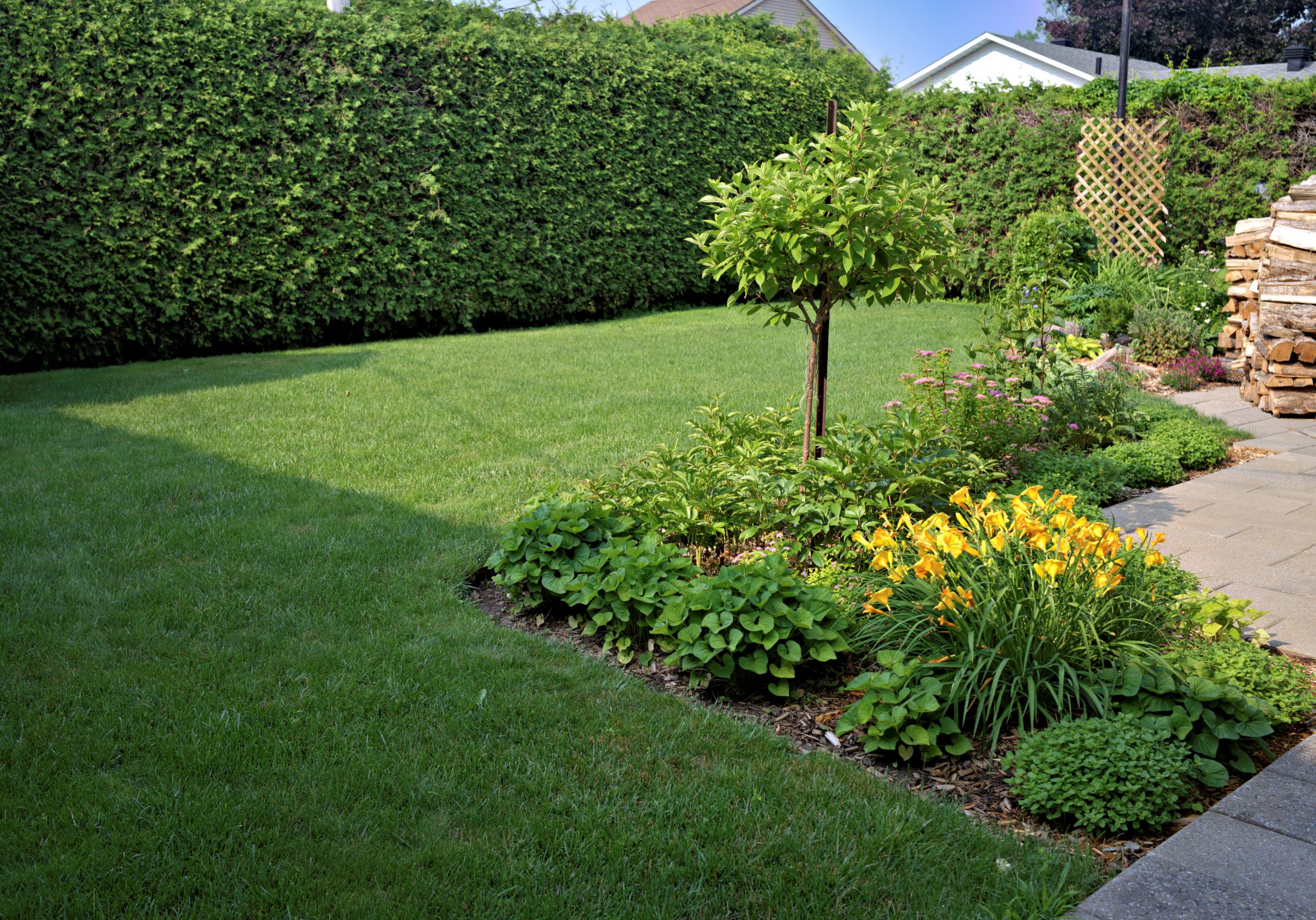 Lush garden with tree and vibrant flowers.