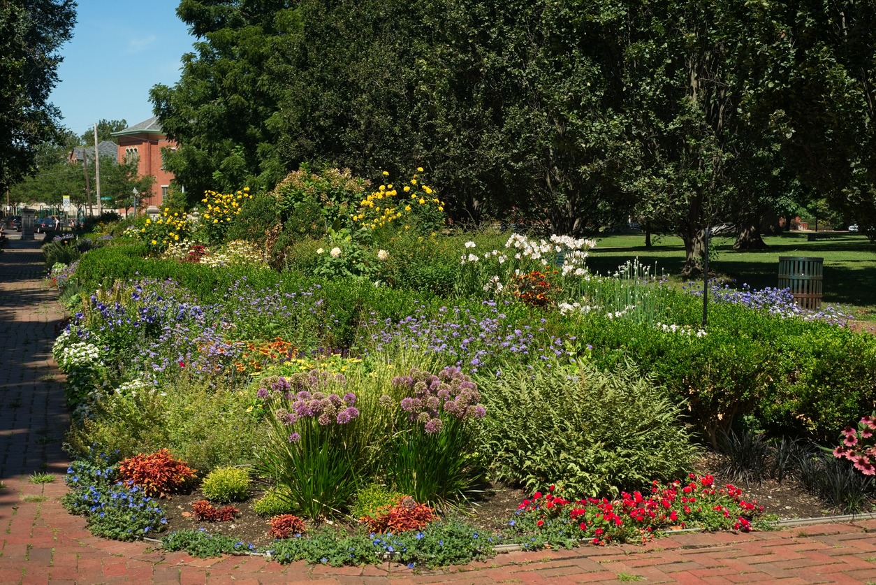 Colorful garden flowers along a brick path