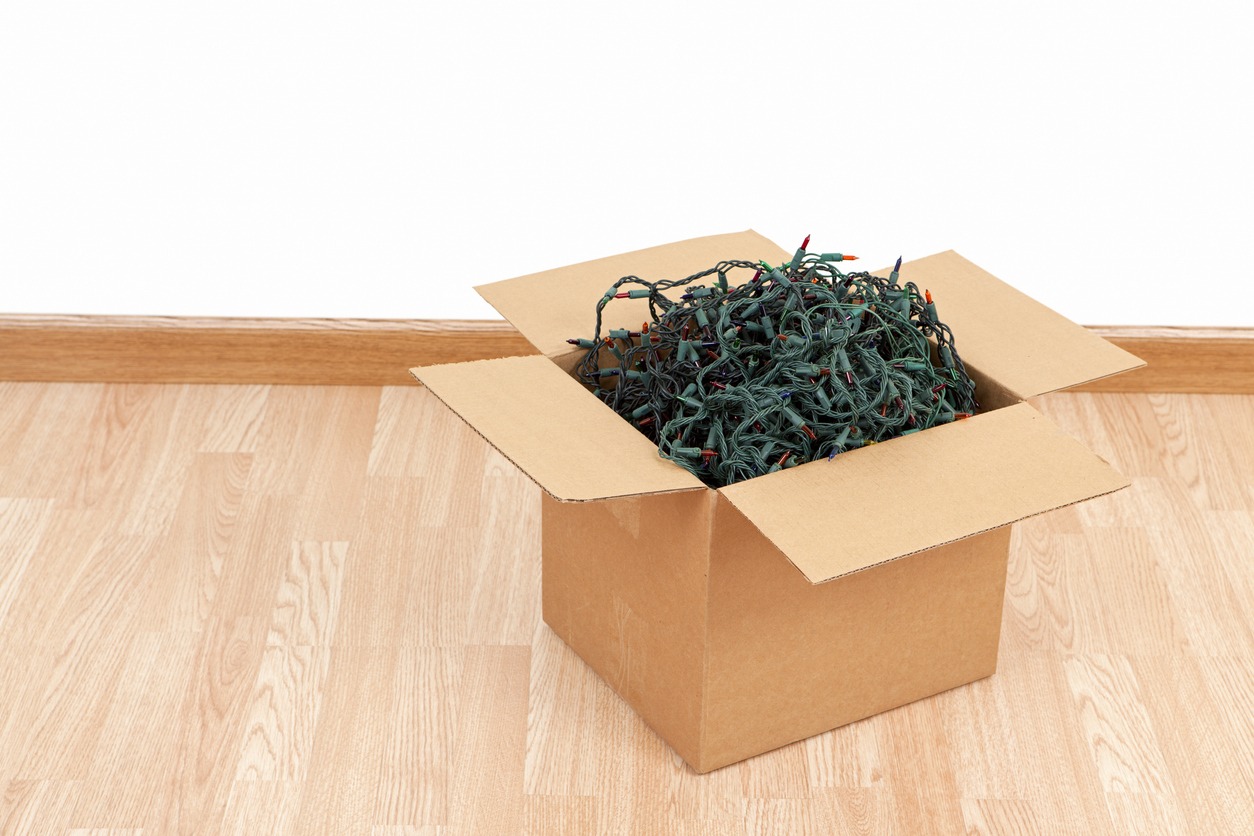Cardboard box with tangled holiday lights.