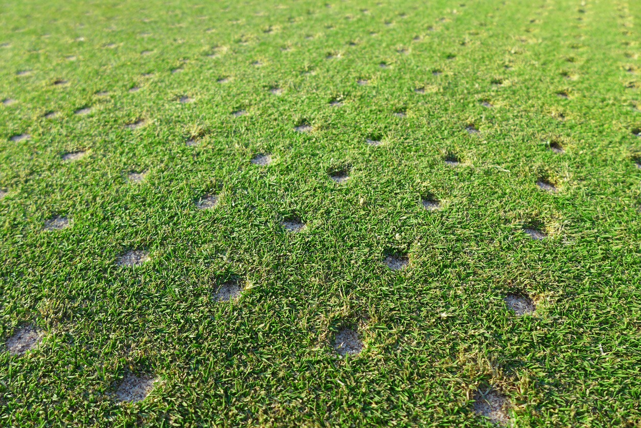 Aerated grass field with small holes