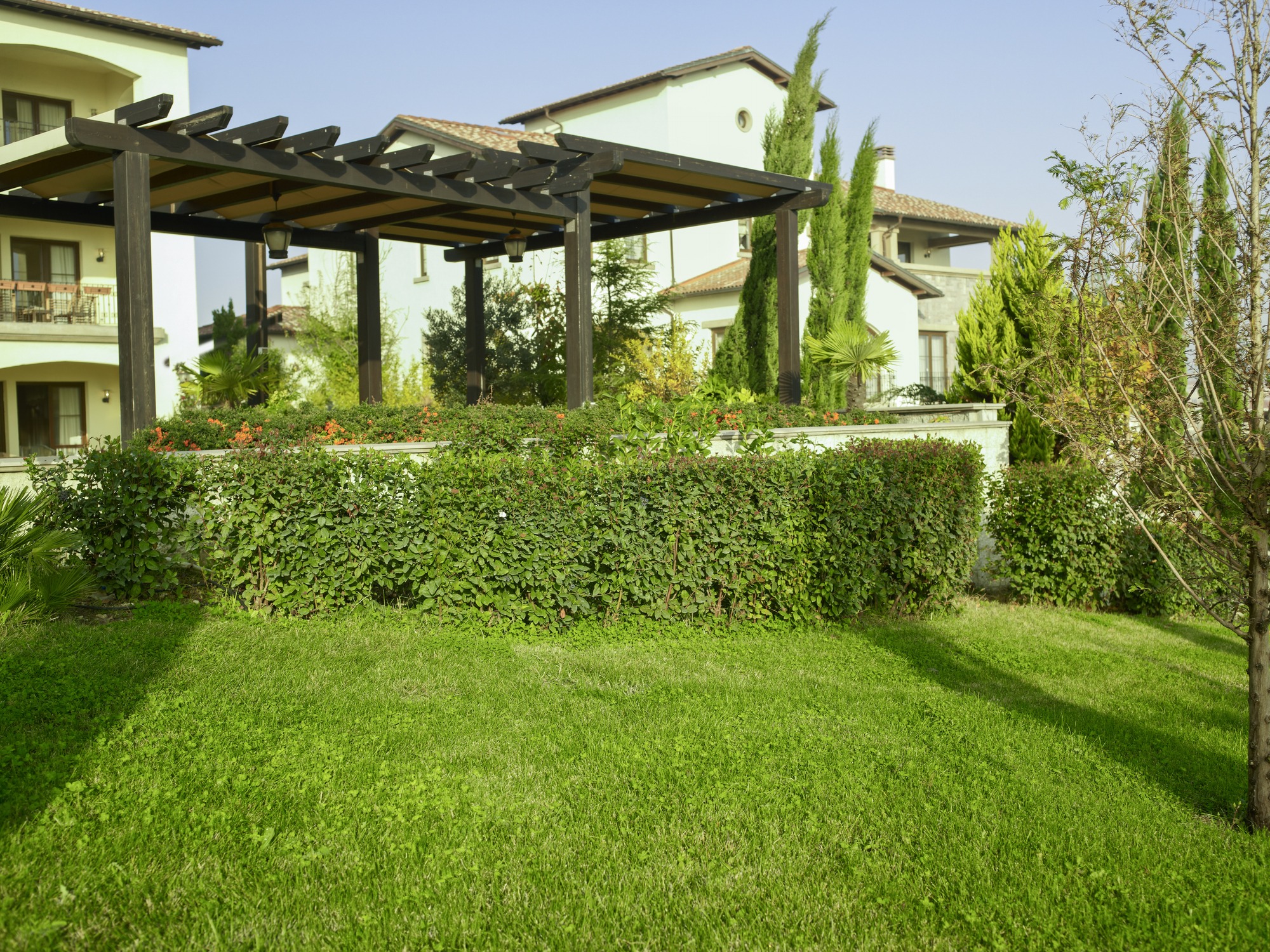 Lush garden with pergola and modern buildings