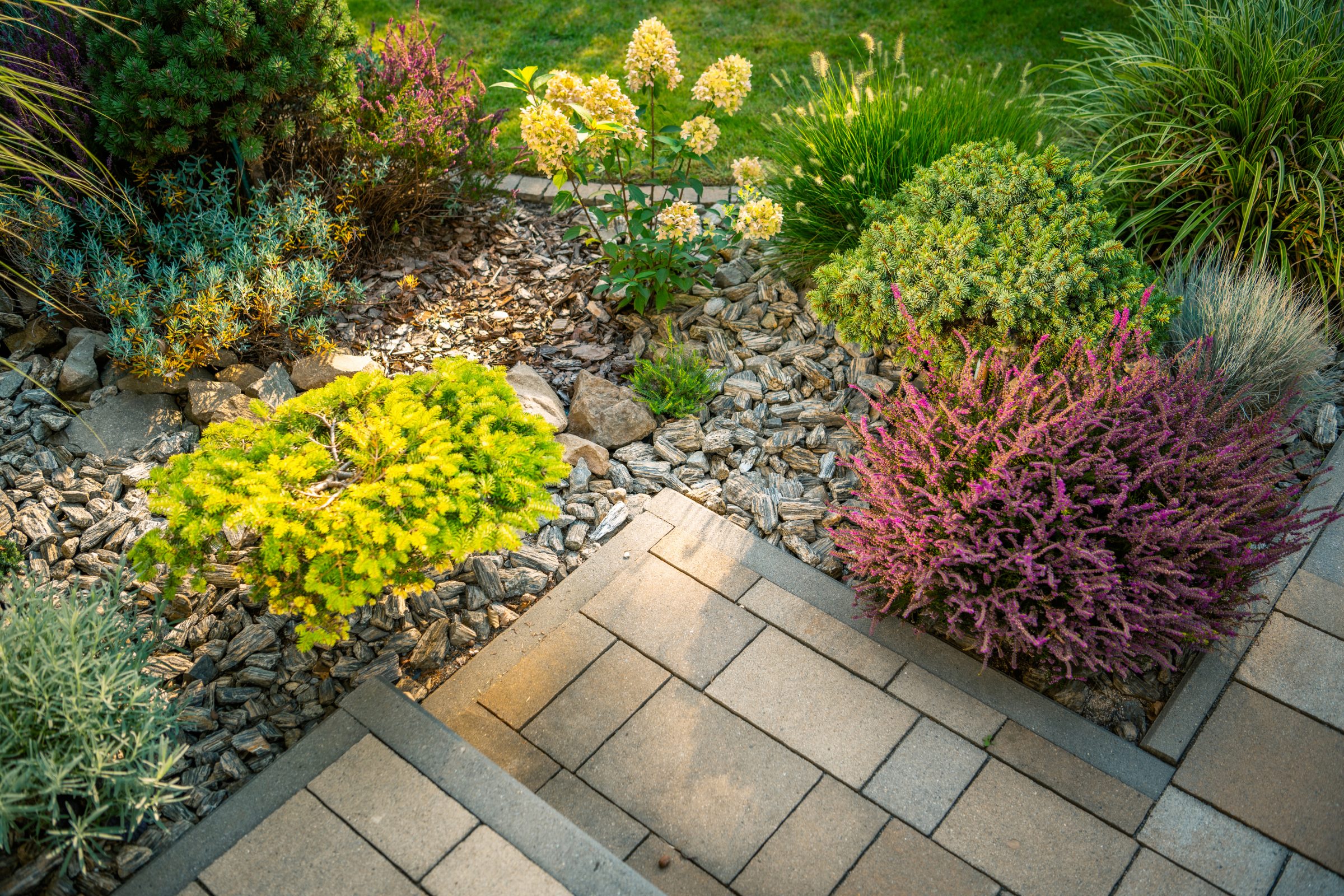 Colorful garden with stones and various plants