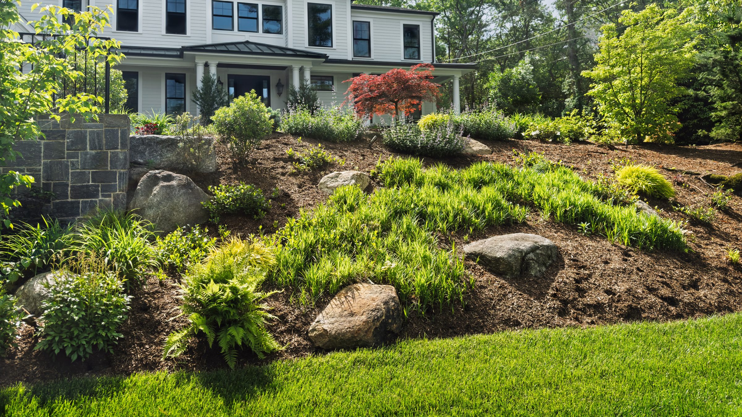 Lush garden landscape with shrubs and rocks