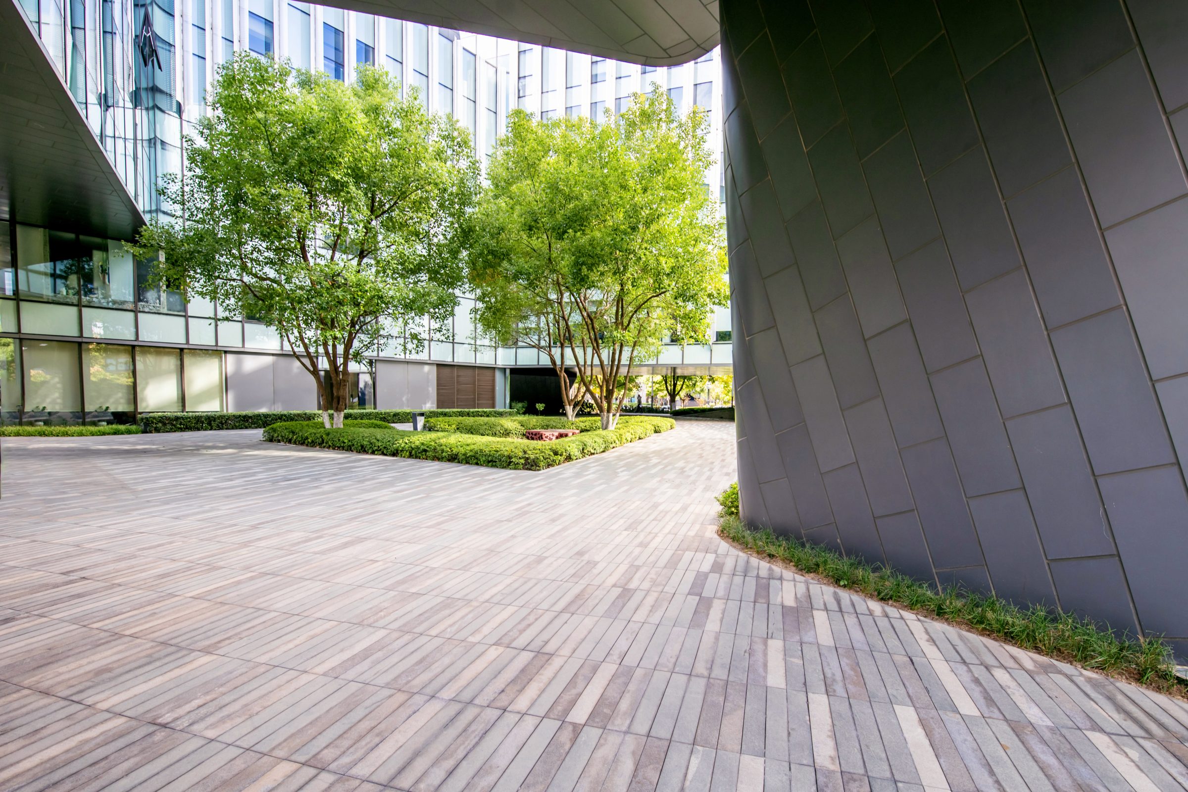 Modern courtyard with trees and paved walkway