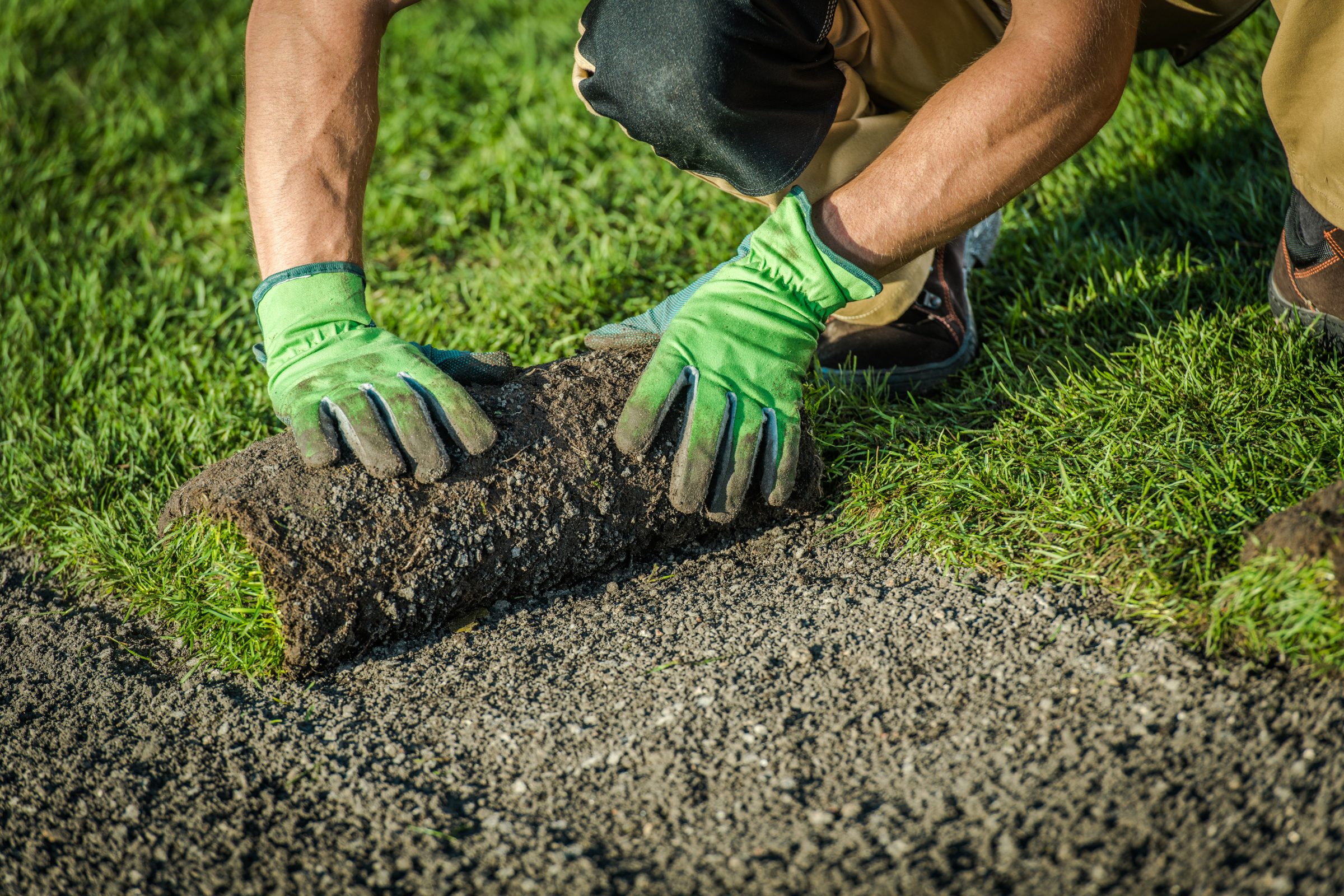 Person laying sod on soil.