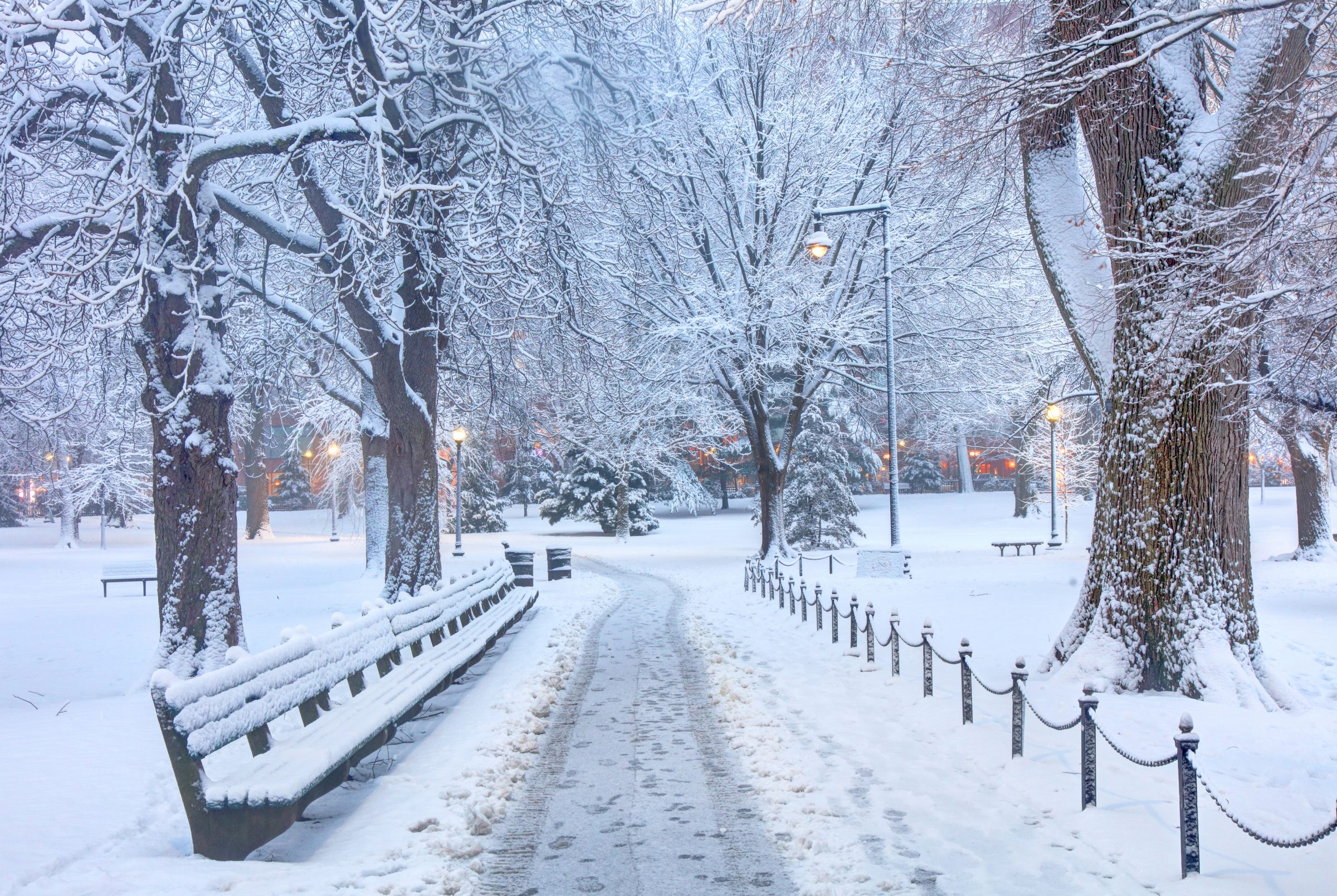 Snow-covered park with trees and benches