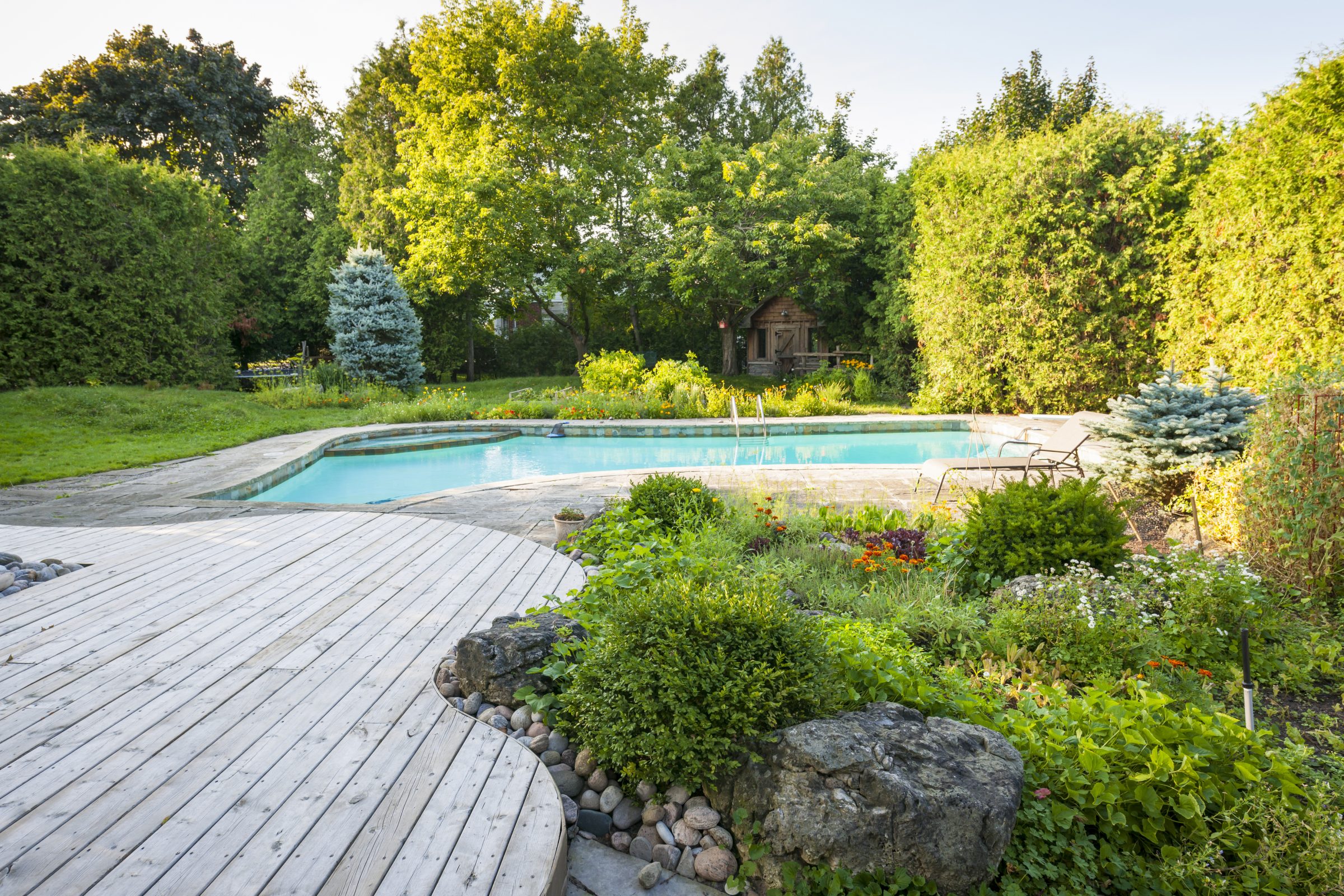 Backyard garden with swimming pool and wooden deck.