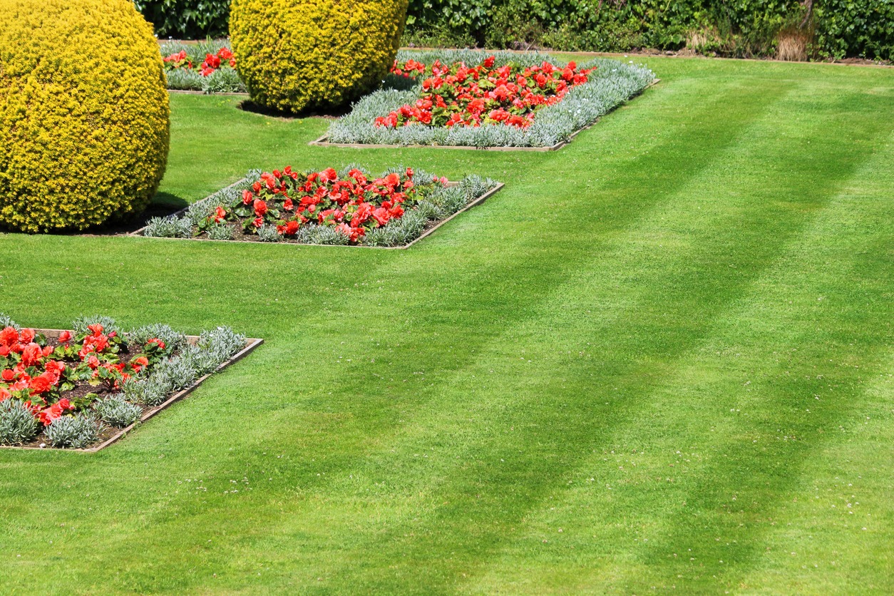 Trimmed lawn with colorful flower beds