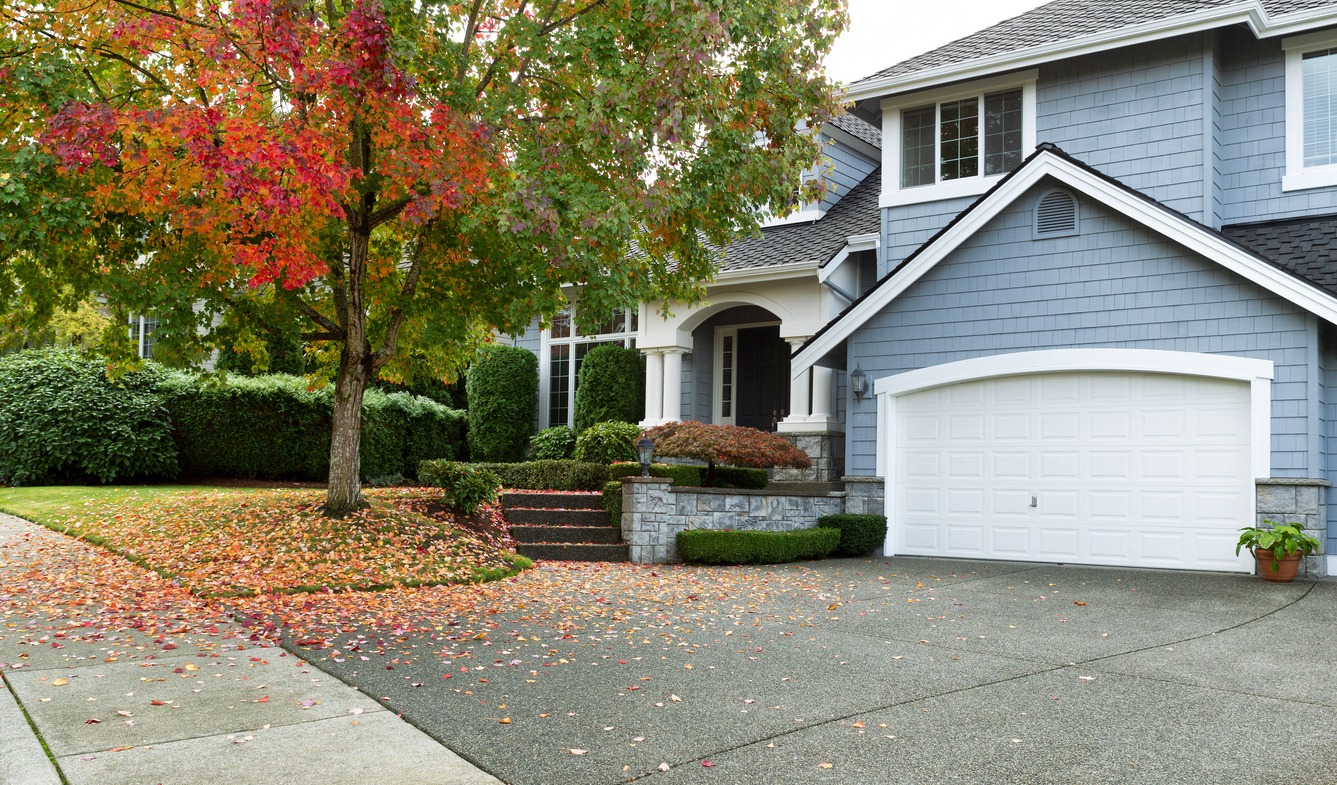 Suburban house with autumn leaves and tree.