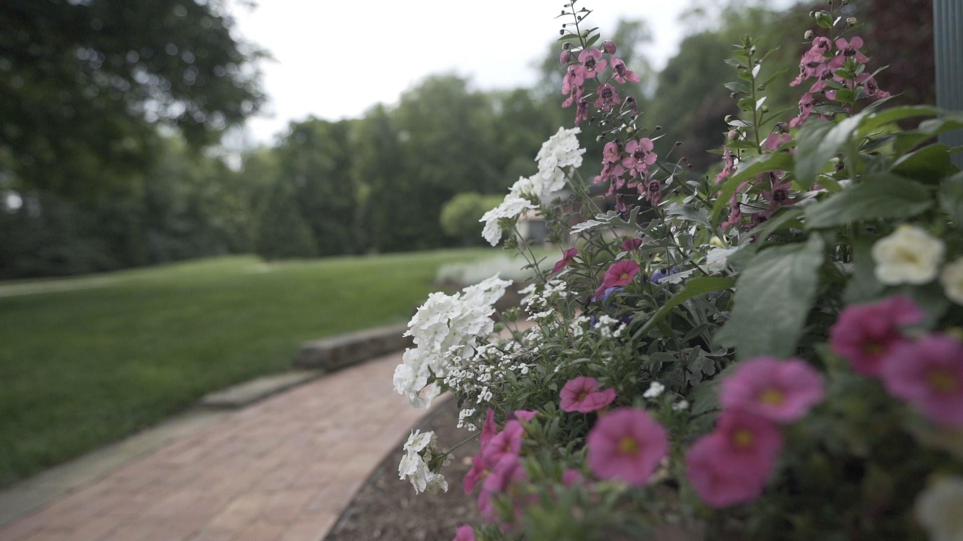 Colorful flowers lining a brick garden pathway.