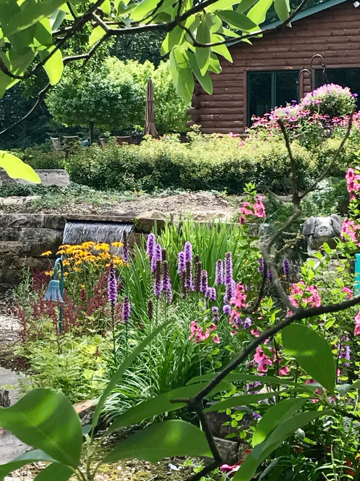 Lush garden with flowers and waterfall near cabin.